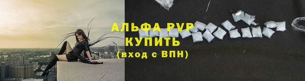 амф Аркадак