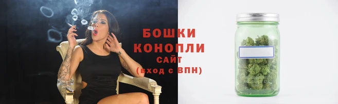 сатива Арсеньев