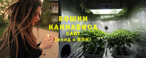 сатива Арсеньев