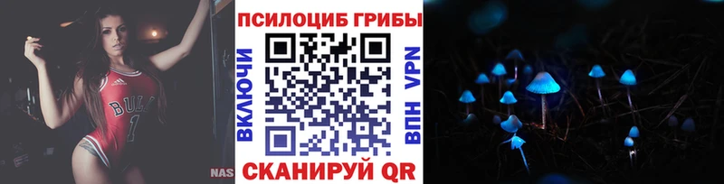 где можно купить   Судогда  Галлюциногенные грибы Cubensis 